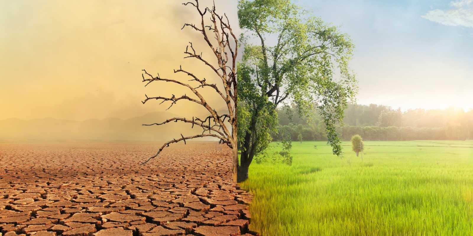 ¿Cómo afecta el cambio climático a la inversión inmobiliaria en Zapopan?
