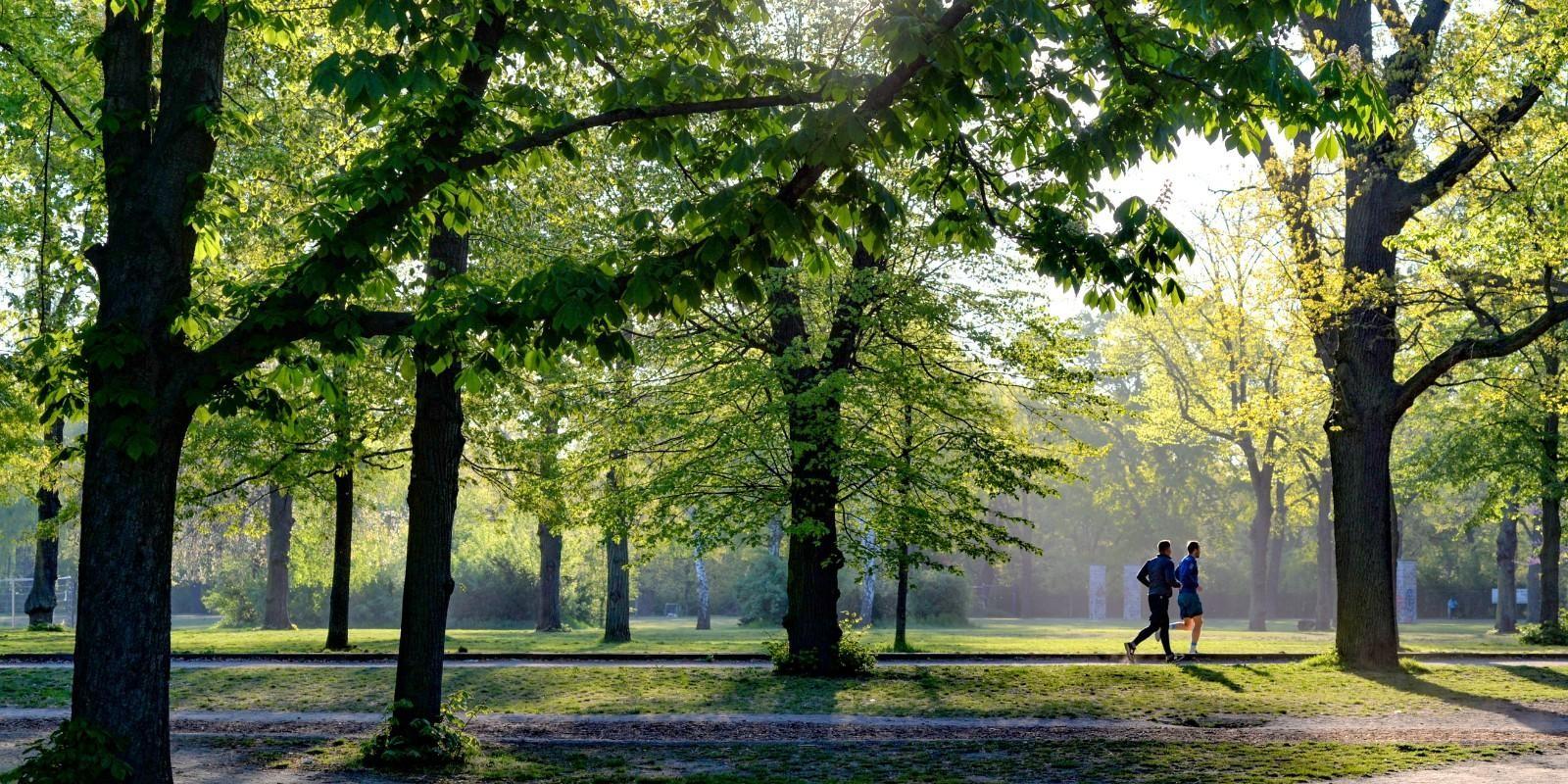 Zapopan al aire libre: Senderos, parques y actividades para disfrutar de la naturaleza. 