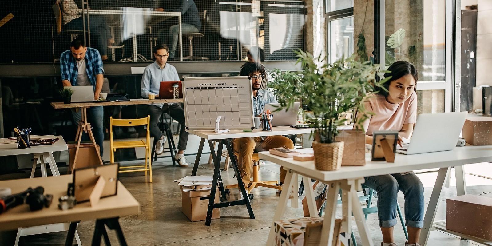 Zapopan para emprendedores: Espacios de coworking y networking