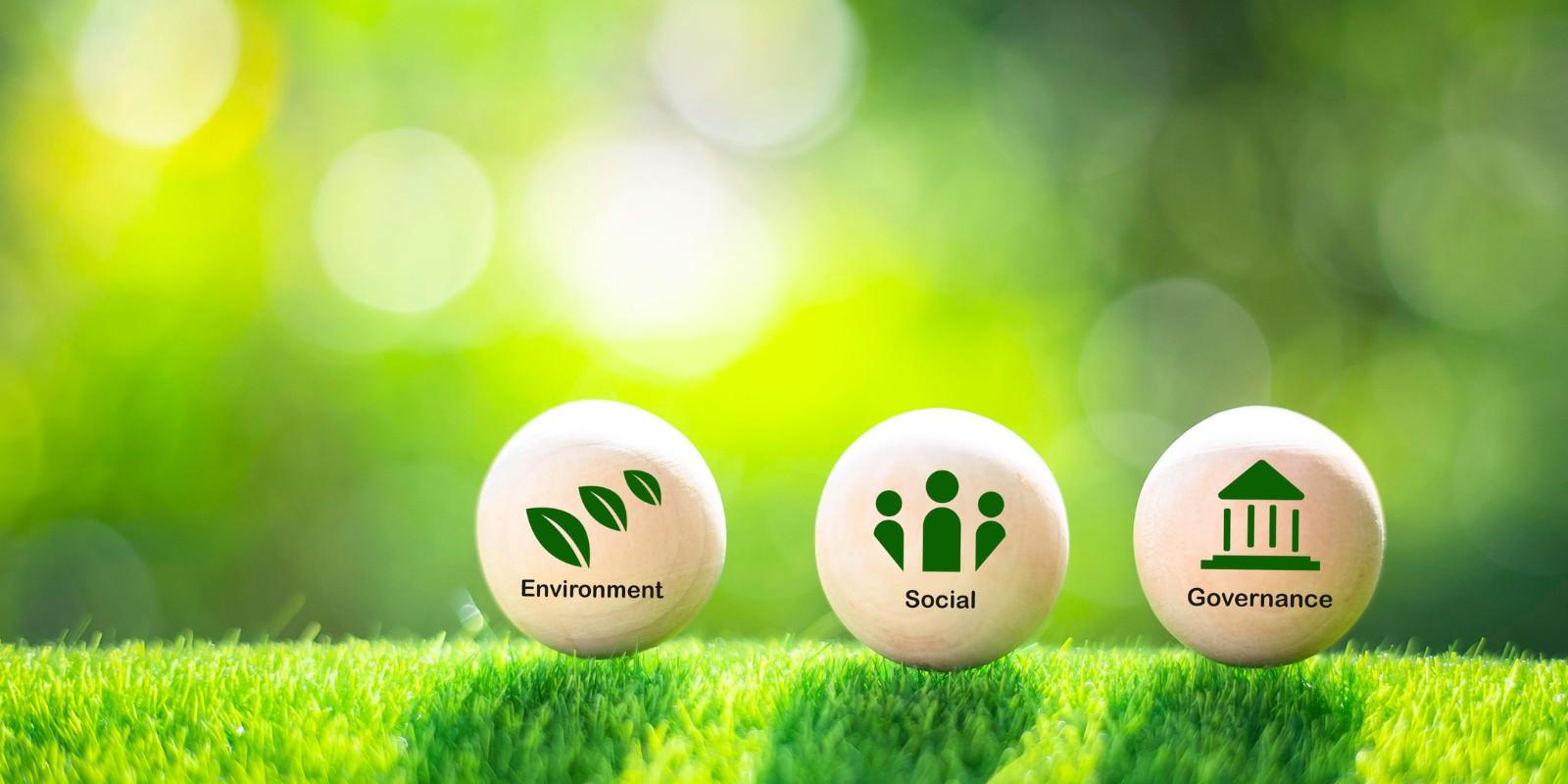 Zapopan verde: Iniciativas de sostenibilidad y cuidado del medio ambiente. 